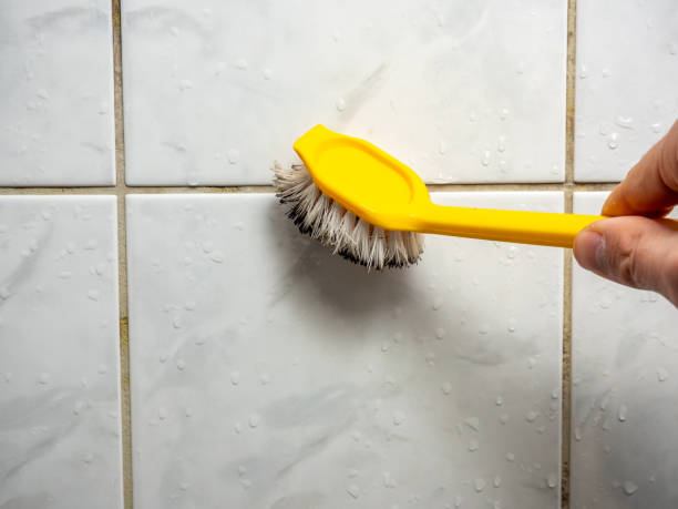 Best Residential Mold Remediation in Bellville, TX
