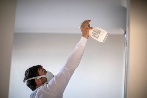 Best HVAC Mold Remediation in Bellville, TX