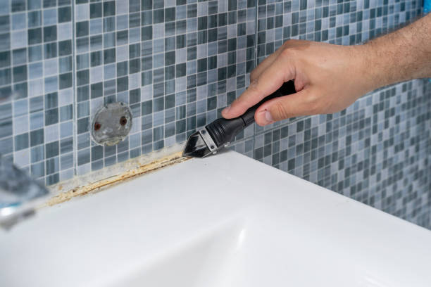 Best Mold Testing and Inspection Services in Bellville, TX